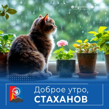 Доброе утро, родной город!