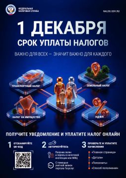 Важное напоминание: срок уплаты налогов — до 1 декабря!