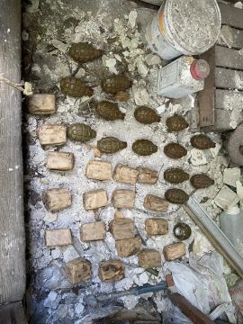 � ���� ���������� ����������-���������������� �������� ��� �������� ������������� �������� ������������ ��� � ��� ���� ������ ����������� � �. ��������� ���������� � ������ ������� ������� ������� 1974 ���� ������� 5,45...