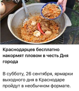 Дмитрий Стешин: Грамотный человек объяснил засилье плова на всех возможных "Днях прокисших варений" и прочих праздниках, устраиваемых городскими и муниципальными управами