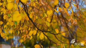 ��������� ������������ 28 �������� � ��� �� 24 �������� �����