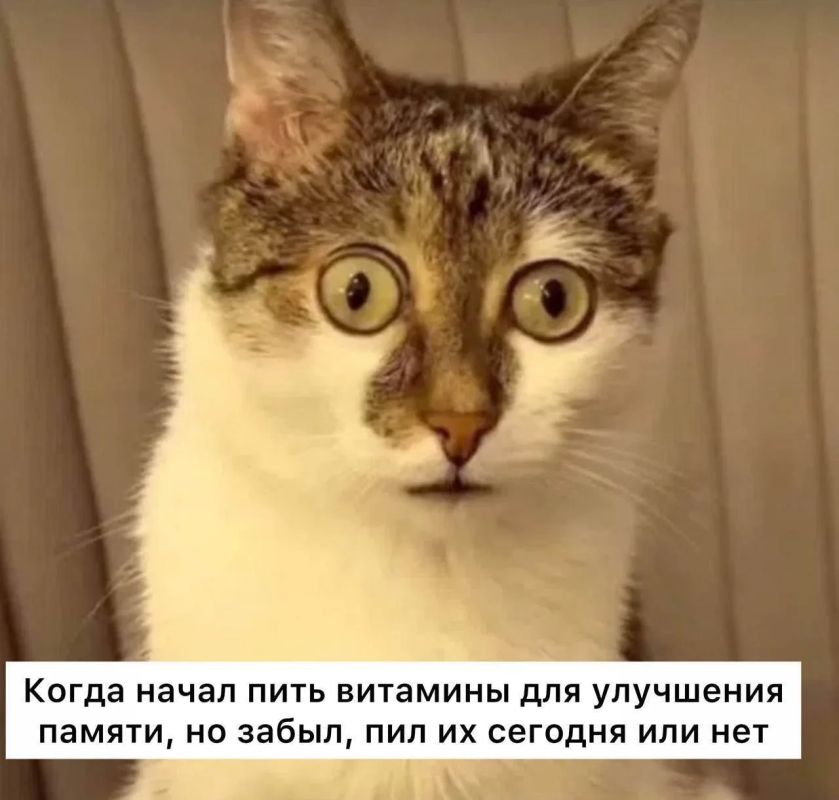 Нехватка витамина Е может спровоцировать частые болезни, сухость кожи и сбои цикла, — диетологи