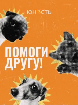 В преддверии Всемирного дня защиты животных, который отмечается 4 октября, Городской волонтерский корпус молодежного центра «Юность» запускает сбор вещей для луганского приюта «Помоги другу»