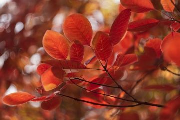 ������ � ��� 29 ��������: ��� �������, ���� �� 22��