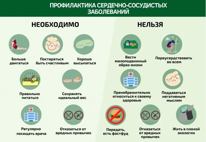 В ритме жизни – профилактика сердечно – сосудистых заболеваний