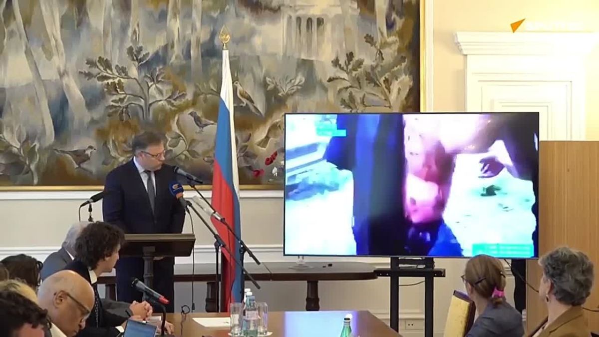 Мирошник показал авиационный удар ВСУ по Луганской области в 2014 году на брифинге в Женеве