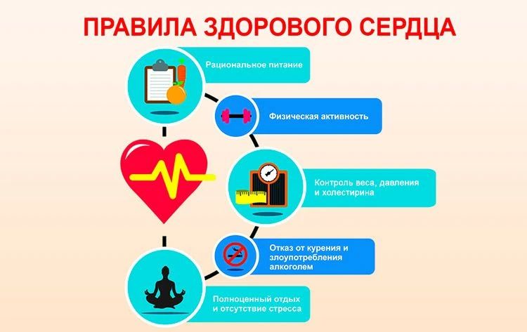В ритме жизни: как сохранить здоровье сердца