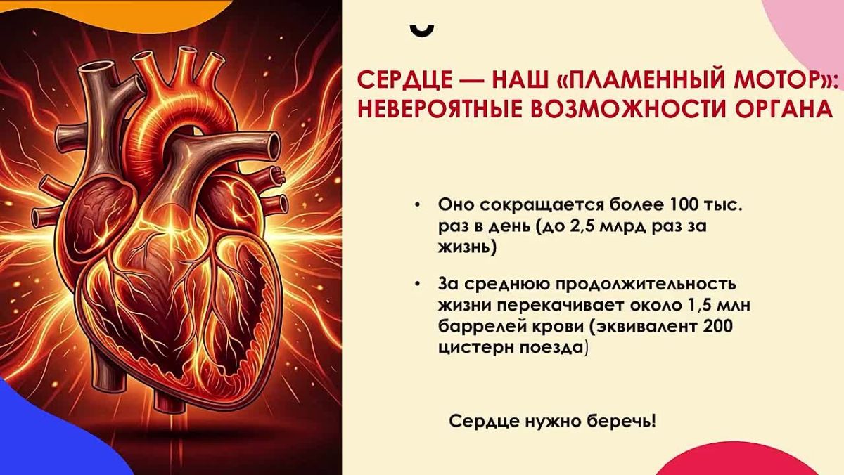 Неделя ответственного отношения к сердцу: публикуем важную видеолекцию
