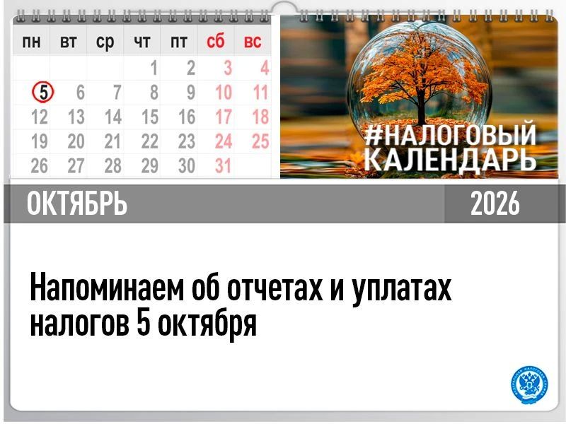 Специалисты Межрайонной ИФНС России №2 по Луганской Народной Республике напоминают о сдаче отчетов и уплаты налогов 5 октября 2026