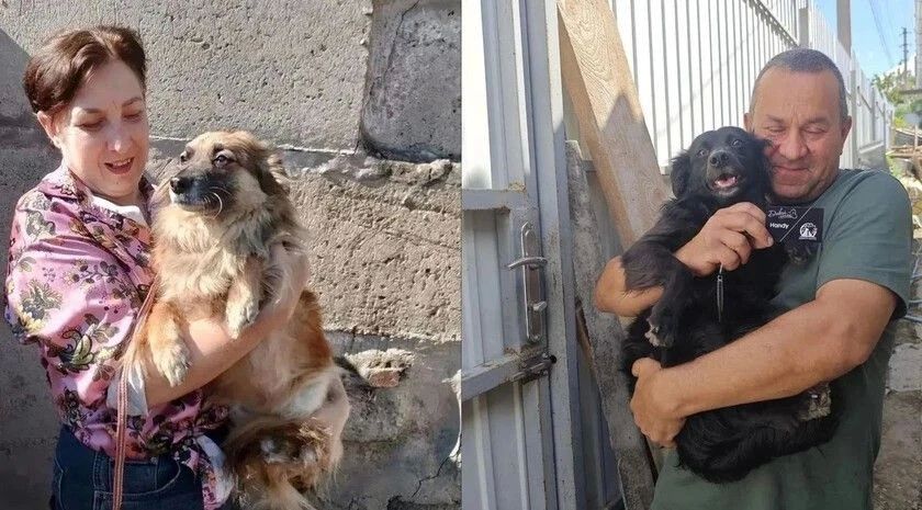 Еще две собаки из приюта «Помоги другу» нашли свою семью благодаря фотовыставке «Я здесь»