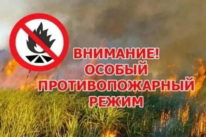 Внимание! Особый противопожарный режим в ЛНР