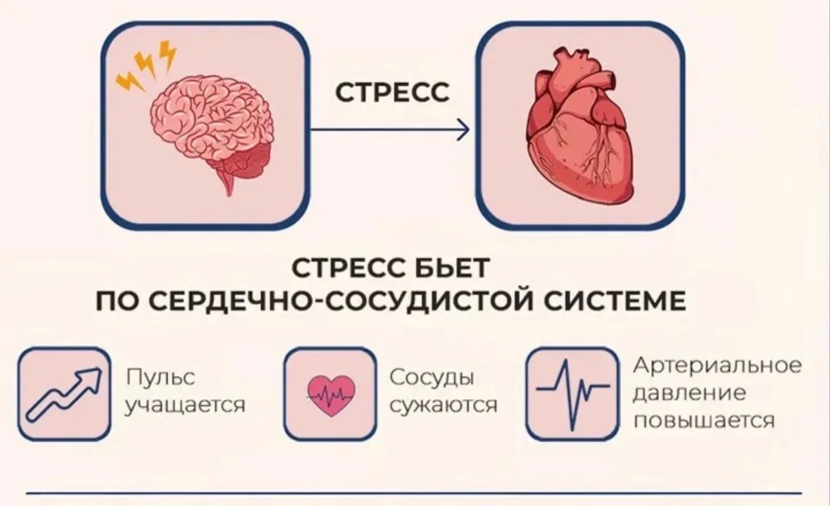 Наталия Пащенко: Стресс — невидимый убийца сердца