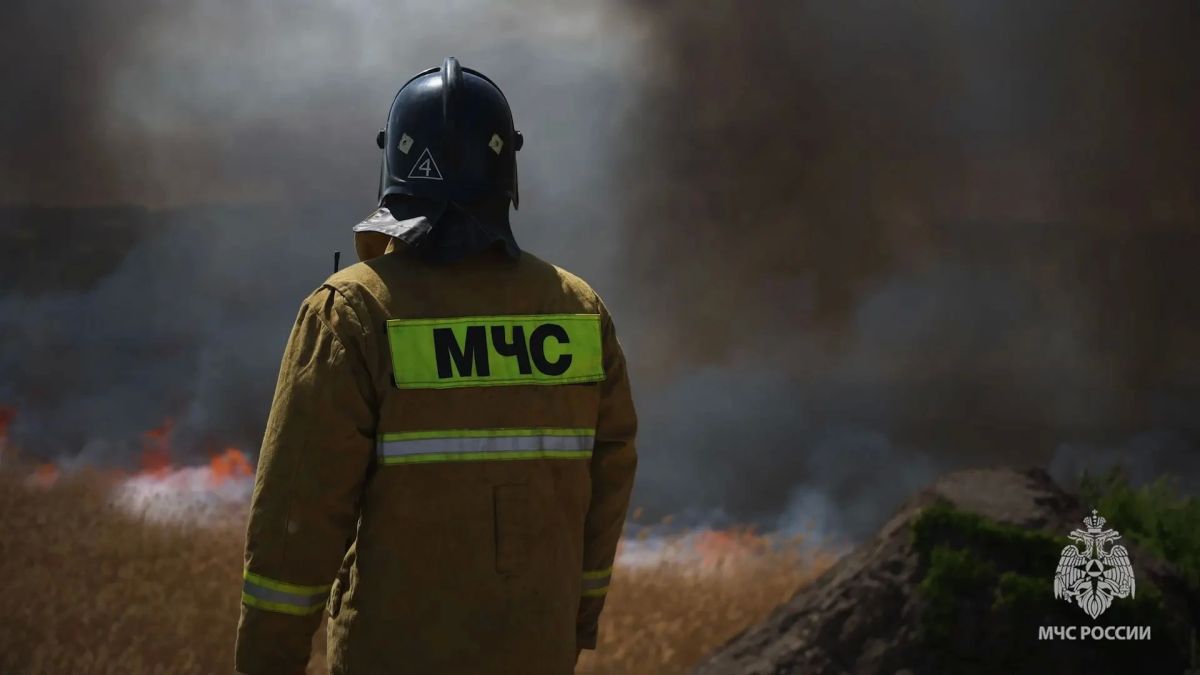 В ЛНР за прошедшие сутки потушили 13 пожаров