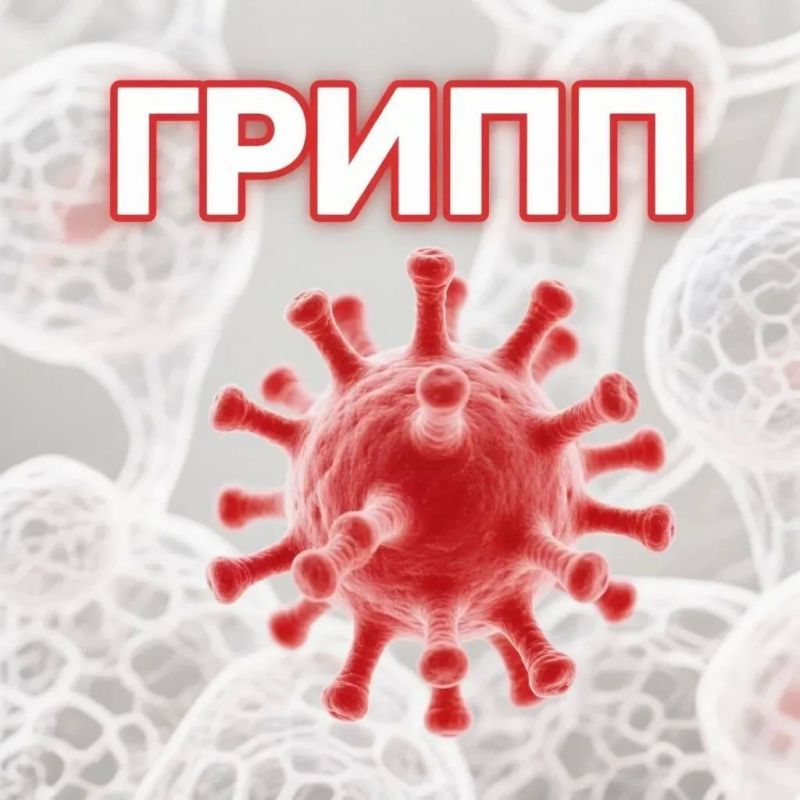 Меры предупреждения ОРВИ. Сезонные заболевания возникают из-за изменения условий окружающей среды в разные сезоны года