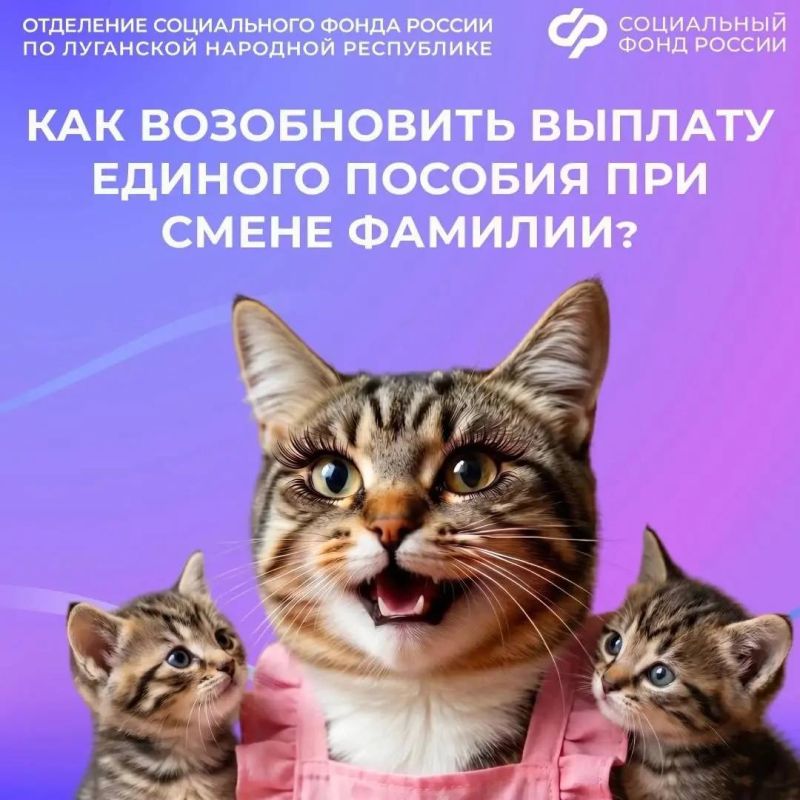 Как будут платить единое пособие, если я сменила фамилию