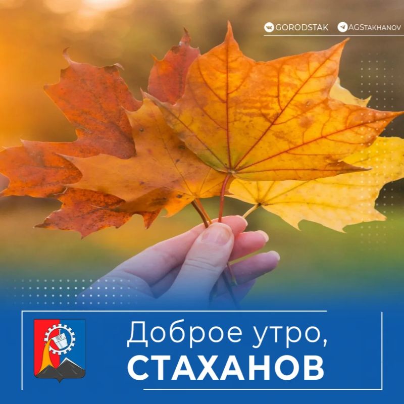 За окном — октябрь. Утра стали прохладнее, а воздух наполнился особенной, звенящей свежестью