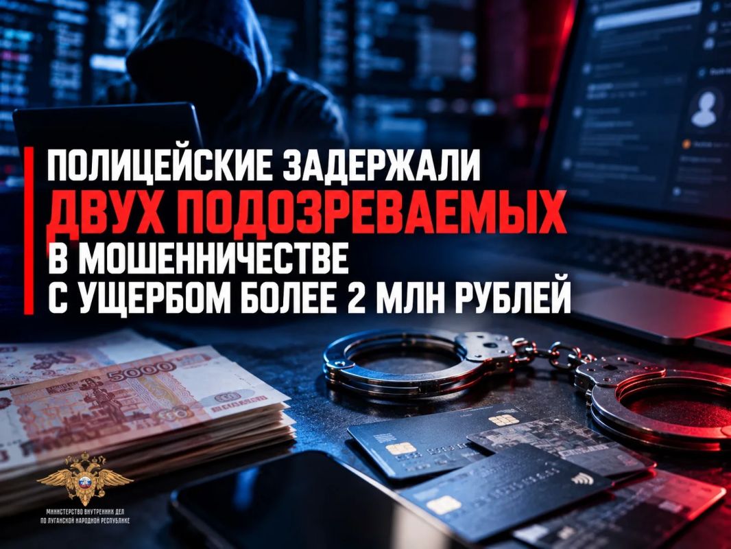 Полицейские задержали двух подозреваемых в мошенничестве с ущербом более 2 млн рублей
