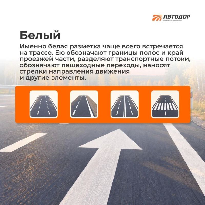 Думаете, что на дороге есть только два цвета разметки: белый и желтый? На самом деле их семь!