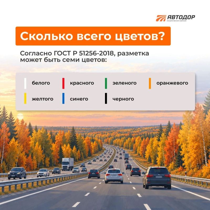 Думаете, что на дороге есть только два цвета разметки: белый и желтый? На самом деле их семь!