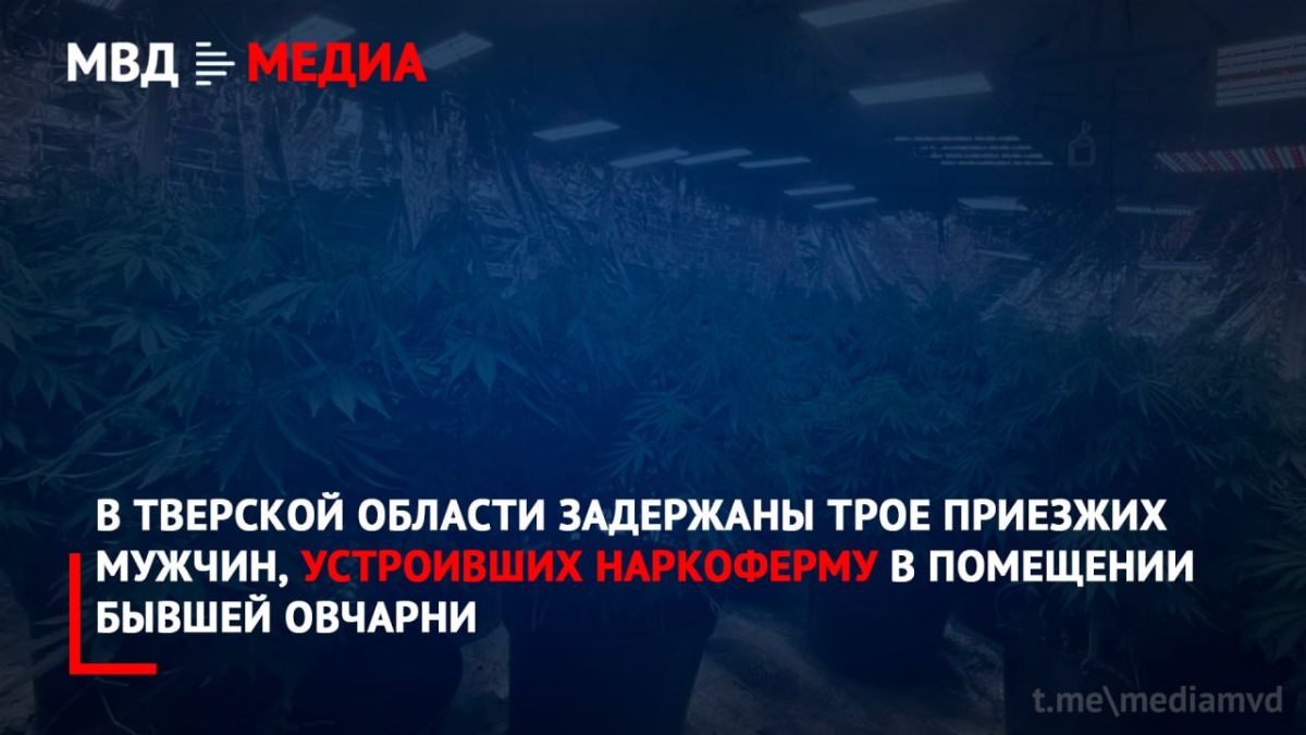 В Тверской области задержаны трое приезжих мужчин, устроивших наркоферму в помещении бывшей овчарни