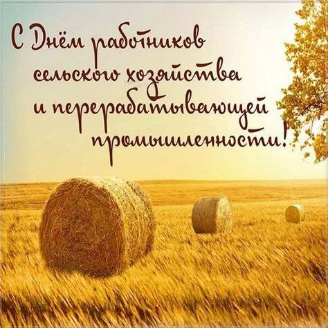 Юлия Кожухарь: Дорогие аграрии Новопсковского муниципального округа!