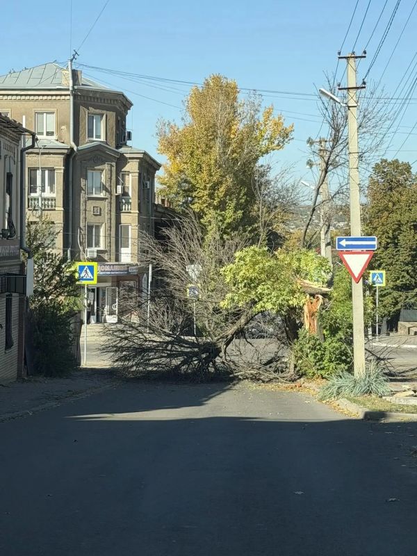 В Луганске оперативно устранили последствия падения дерева