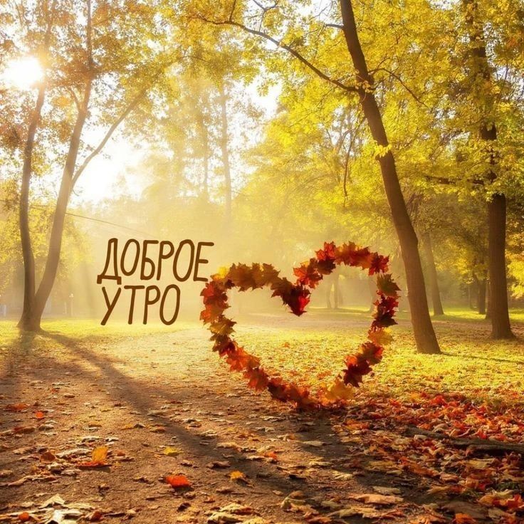 Приветствуем вас,. жители Новопсковского муниципального округа!