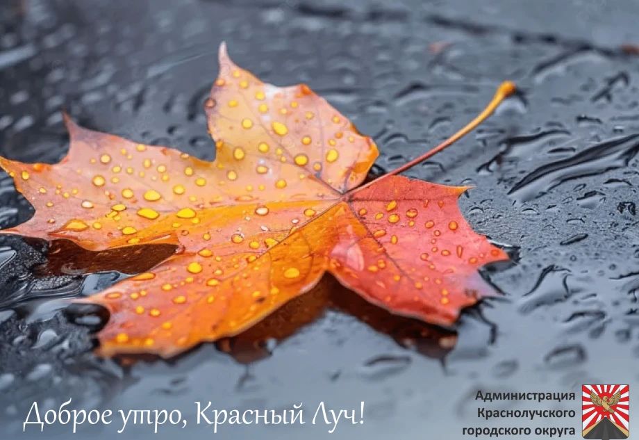 Доброе утро, краснолучане и гости города!