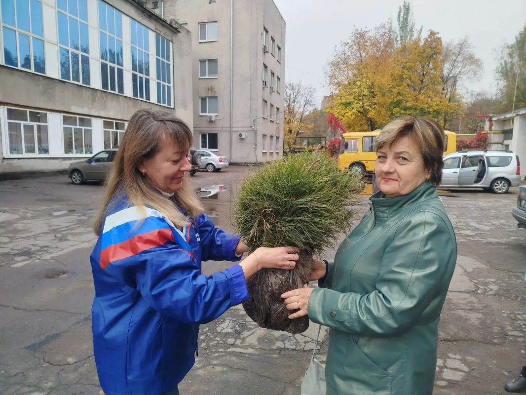 В рамках акции «Эстафета добрых дел» партии «Единая Россия» Администрация городского округа город Брянка получила саженцы сосны