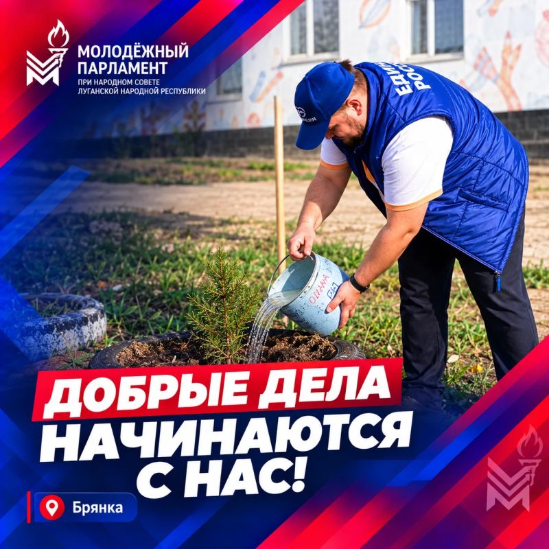Посадили ели сегодня - оставили след на десятилетия!