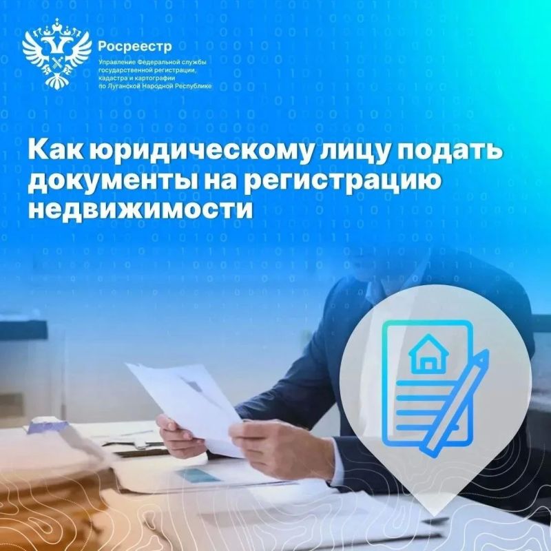 Как юридическому лицу подать документы на регистрацию недвижимости в ЛНР