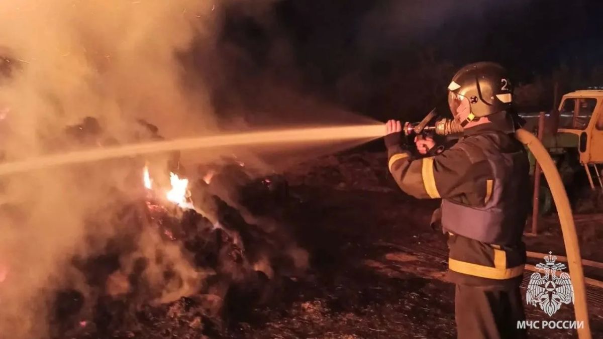 В селе БурчакМихайловка случился крупный пожар — сгорело 100 тонн сена
