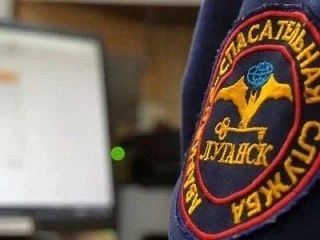 63 дерева обрезали специалисты АСС