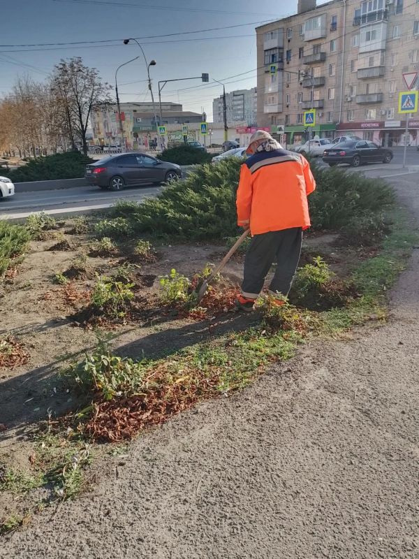 Забота, которая вернётся красотой