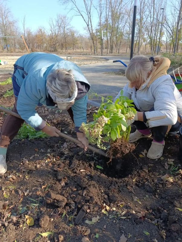 В нашем любимом парке культуры и отдыха имени «Молодой гвардии» ежедневно кипит жизнь, и осень здесь – не время для уныния, а пора активного преображения!