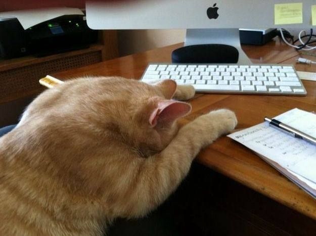 Шестидневка приводит к нервному срыву, — психиатры