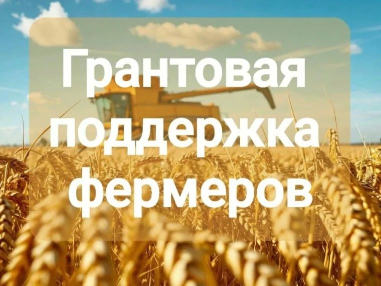 Грантовая поддержка фермеров в 2027 году