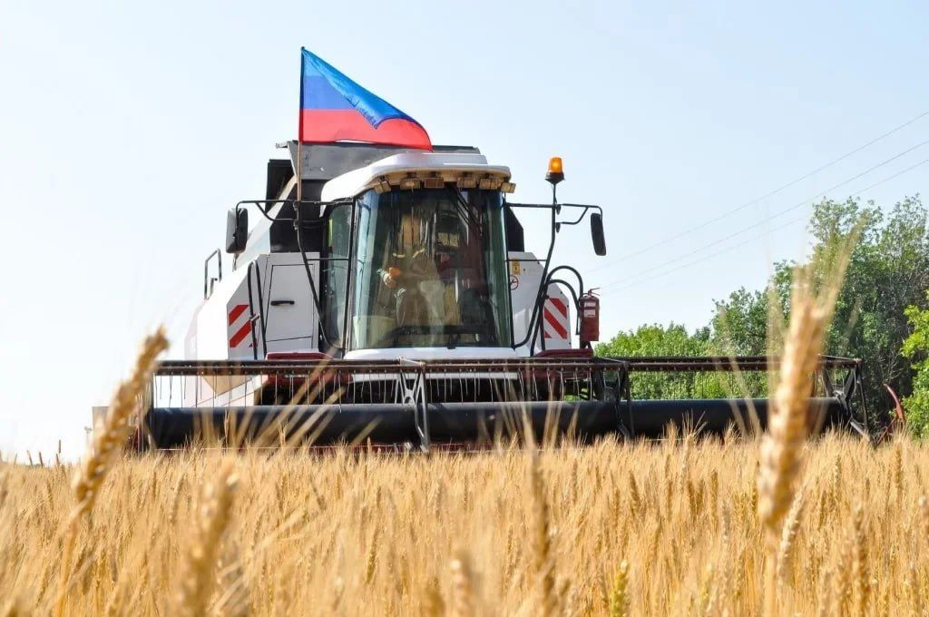 В ЛНР созданы новые механизмы поддержки экономики