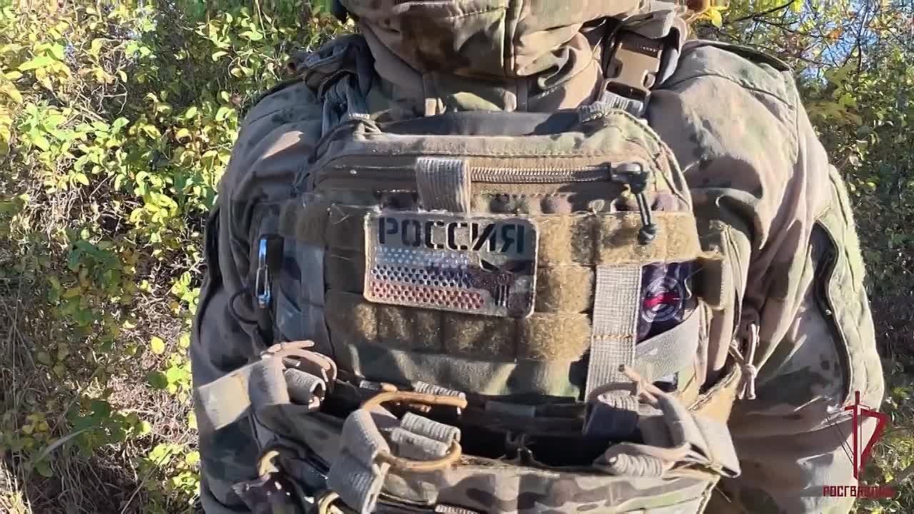 Более 370 вражеских БПЛА уничтожили росгвардейцы в ЛНР за месяц