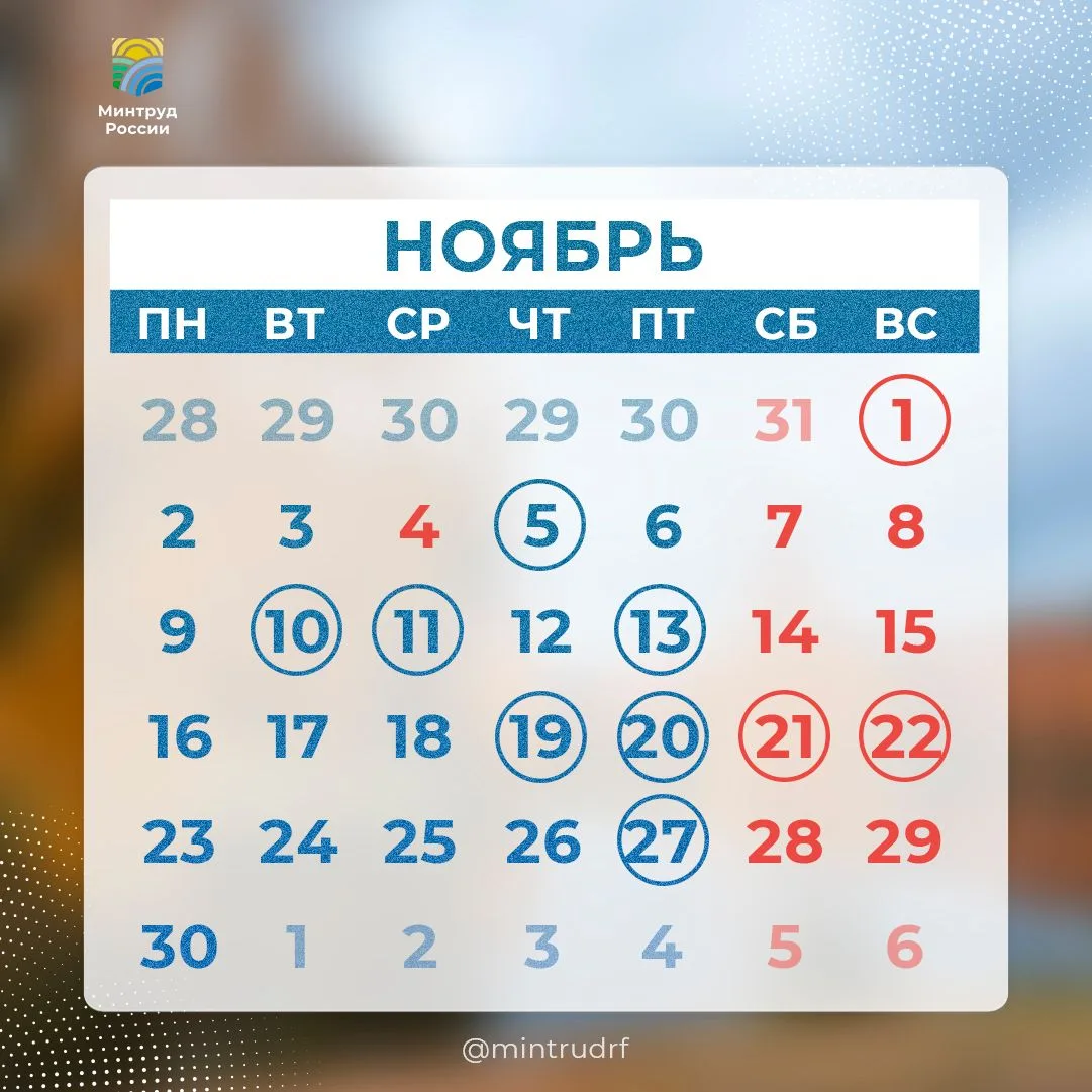 Константин Бутримов: Сегодня в рубрике #PROДень – профессиональные праздники и выходные ноября